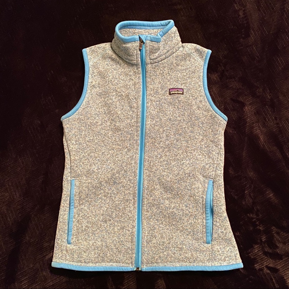 Better Sweater Vest, Patagonia, Like New!